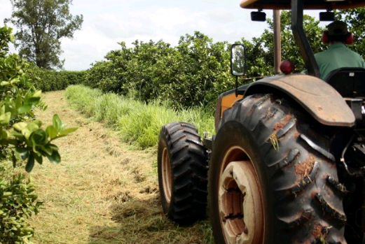 Agro paulista tem superávit de mais de US$ 14 bilhões no ano