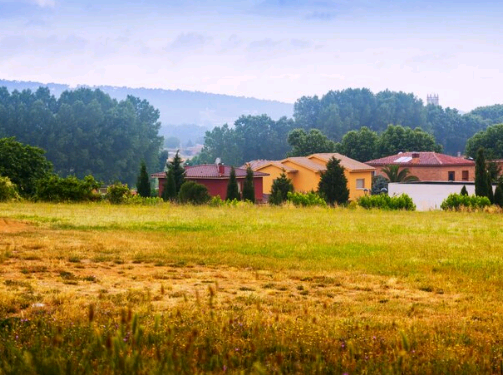 Artigo – Diferenças jurídicas relevantes entre imóvel rural e agrário: implicações legais  – por Bárbara Fonseca Finardi