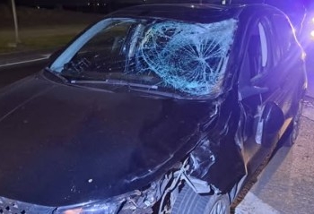 Cavalo morre atropelado e duas pessoas ficam feridas em acidente na Santos Dumont