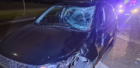 Cavalo morre atropelado e duas pessoas ficam feridas em acidente na Santos Dumont