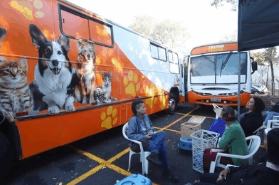 Prefeitura abre agenda para castração gratuita de cães e gatos na região do Jd. Nova América