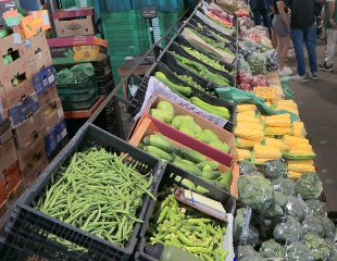 Preços de legumes caem 15,8% na Ceasa Campinas, aponta Sacolômetro