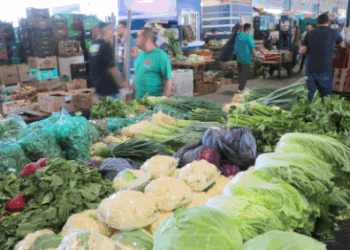 Clima seco afeta produção agrícola e eleva preços de produtos na Ceasa Campinas