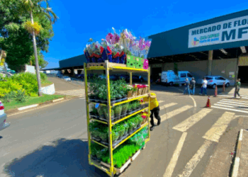 Ceasa Campinas terá final de semana de música e Encontro de Carros Antigos