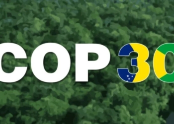 COP-30 está chegando e as incertezas permanecem – por José Pedro Martins