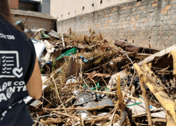 Veja lista dos 23 bairros de Campinas com alerta para transmissão da dengue