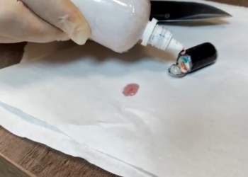 Grupo especializado em engolir cápsulas de drogas para transporte é alvo de operação de PF