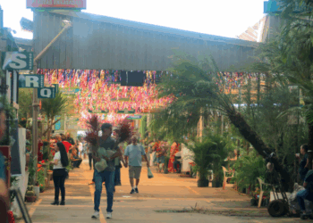 1º Encontro de Carros Antigos da Ceasa Campinas terá gastronomia e cultura