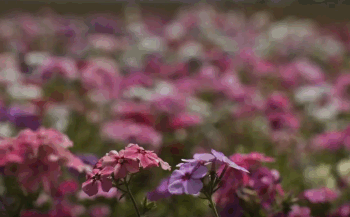 Primavera começa com chegada de frente fria, temporais e fortes ventos