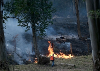 Risco de incêndio em Campinas: Defesa Civil alerta e pede que população colabore