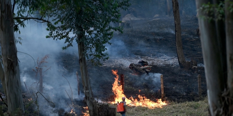 Risco de incêndio em Campinas: Defesa Civil alerta e pede que população colabore