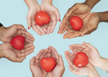 Em seis meses, 1.863 pessoas morreram na fila de transplantes