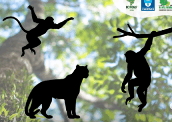 Mata de Santa Genebra abre votação para escolher mascote do Centro de Educação Ambiental