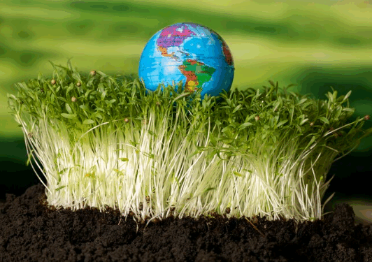 Artigo: Direito Internacional do Meio Ambiente – por Armando Bergo Neto