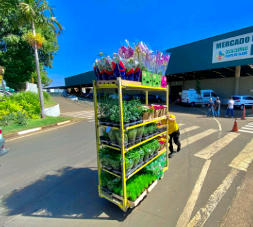 Ceasa Campinas abre licitação para uso de 171 espaços no Mercado de Flores