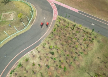 Campinas ganha 16ª microfloresta; bosques urbanos somam 18,6 mil árvores nativas