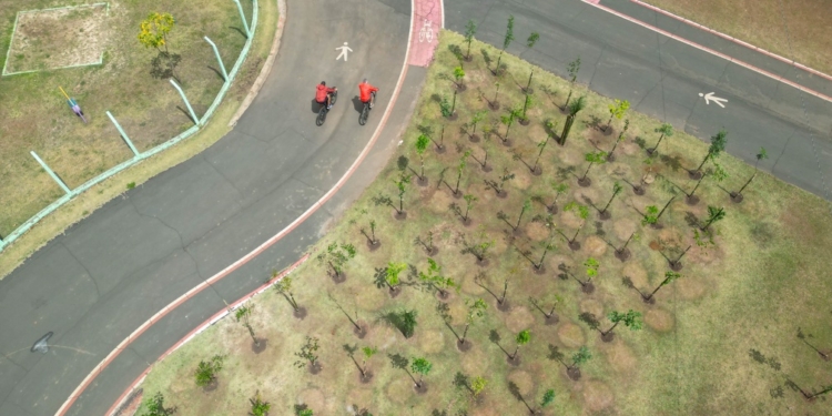Campinas ganha 16ª microfloresta; bosques urbanos somam 18,6 mil árvores nativas