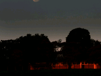 Inscrições para passeio noturno na Mata de Santa Genebra abrem nesta segunda