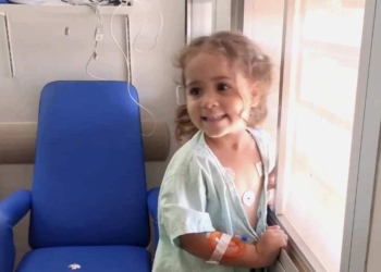 Boa notícia: soro antiescorpiônico faz efeito e criança se recupera no HC