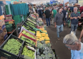 Verduras e frutas ficam mais baratas na Ceasa Campinas; abobrinha lidera alta