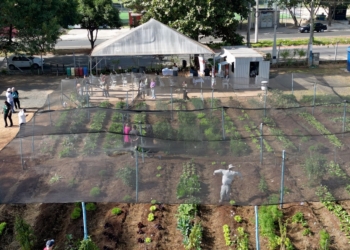 Campinas promove capacitação sobre Segurança Alimentar e Nutricional para gestores e lideranças