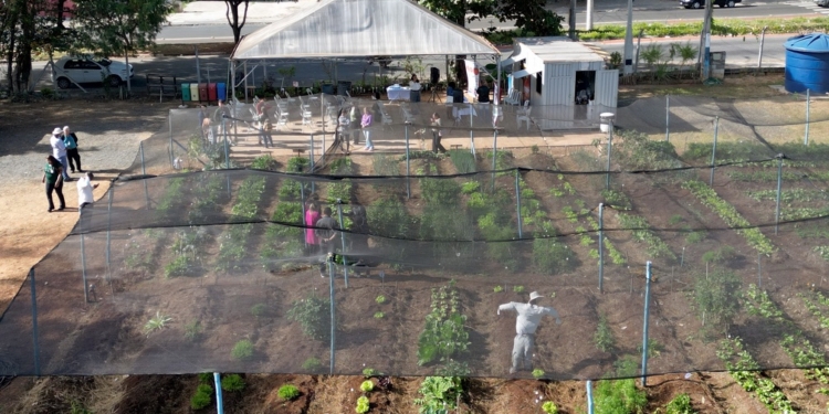 Campinas promove capacitação sobre Segurança Alimentar e Nutricional para gestores e lideranças