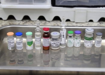 Campinas faz ações especiais de multivacinação no Dia das Crianças