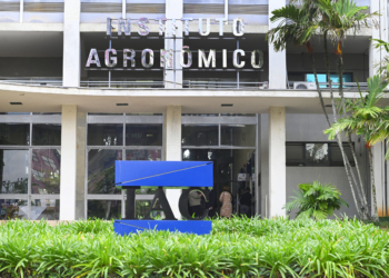 Tour Campinas abre nova edição do passeio para o Instituto Agronômico