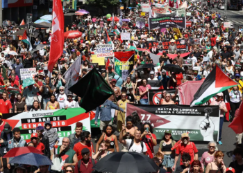 Israel liberta 1º integrante da delegação do Brasil da Flotilha; Mariana Conti segue detida