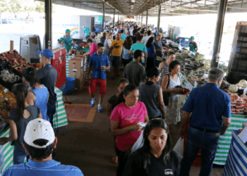 Varejão da Ceasa Campinas passa a funcionar no Mercado de Flores a partir deste sábado