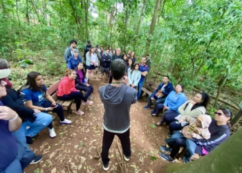 Mata de Santa Genebra abre seleção para estagiários com bolsa de até R$ 1.518