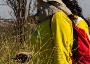Brigada florestal formada apenas por mulheres é lançada neste sábado