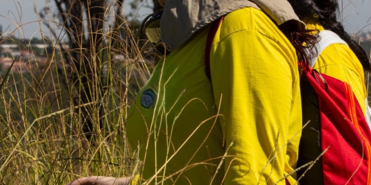 Brigada florestal formada apenas por mulheres é lançada neste sábado