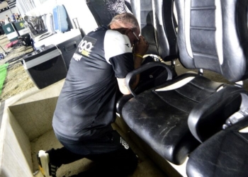 Marcelo Fernandes celebra título da Série C e evita falar sobre futuro na Ponte