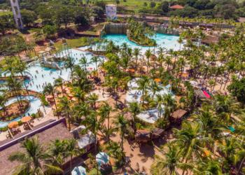 Sombra garantida! Os 800 coqueiros do Hot Beach Olímpia são convite à vida boa nos feriados