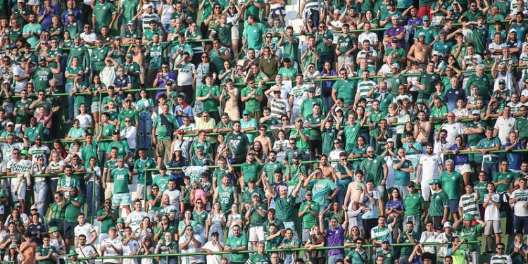 Guarani pode chegar à marca de 50 mil torcedores em 4 jogos no Brinco