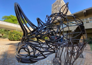 De Dalí a Caçador: os rinocerontes que marcaram Campinas em 1998 e 2025