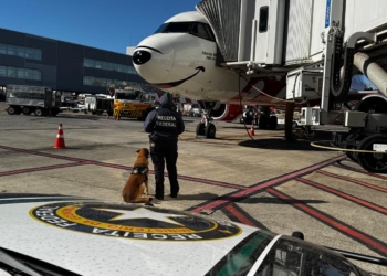 Receita Federal apreende 270 kg de tabaco no Aeroporto de Viracopos