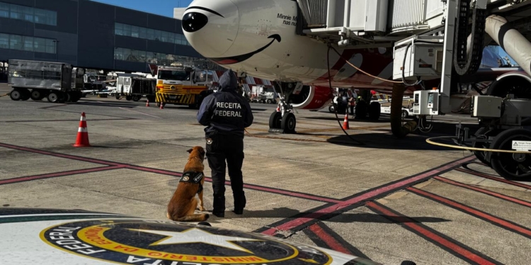 Receita Federal apreende 270 kg de tabaco no Aeroporto de Viracopos