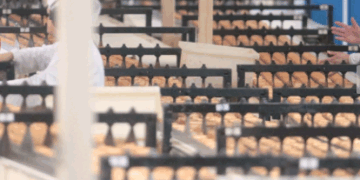 Tour Campinas promove visita inédita à fábrica da Arcor; inscrições abrem neste sábado