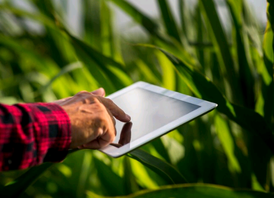 Artigo – Inovação e respeito às patentes: fundamentos para a competitividade e a sustentabilidade do agro brasileiro – por Ronaldo Bueno Rodrigues