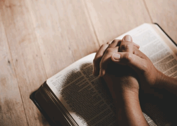 Artigo: Fama e felicidade – por Joaquim Z Motta