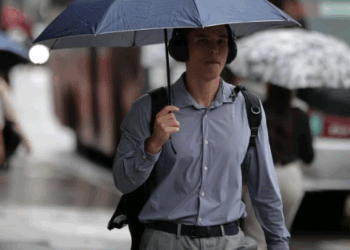 Defesa Civil alerta para risco de alagamentos e queda de árvores entre sexta e domingo