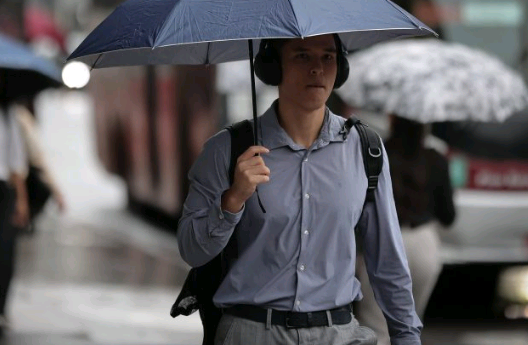 Defesa Civil alerta para risco de alagamentos e queda de árvores entre sexta e domingo