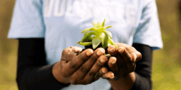 Artigo – Justiça socioambiental: COP30 desafia mercado corporativo no Brasil – por Guibson Trindade