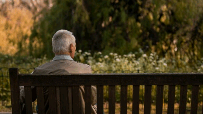 Pessoas idosas continuam invisíveis para a sociedade – por José Pedro Martins