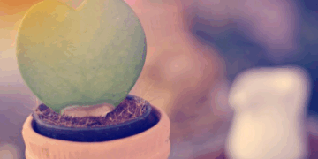 Um encontro extraordinário com a ‘serendipidade’ – por Luis Norberto Pascoal