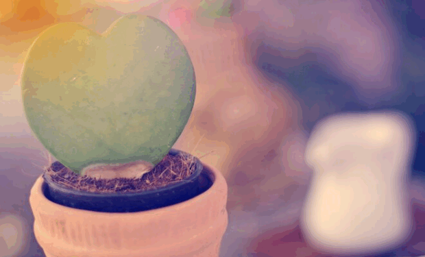 Um encontro extraordinário com a ‘serendipidade’ – por Luis Norberto Pascoal