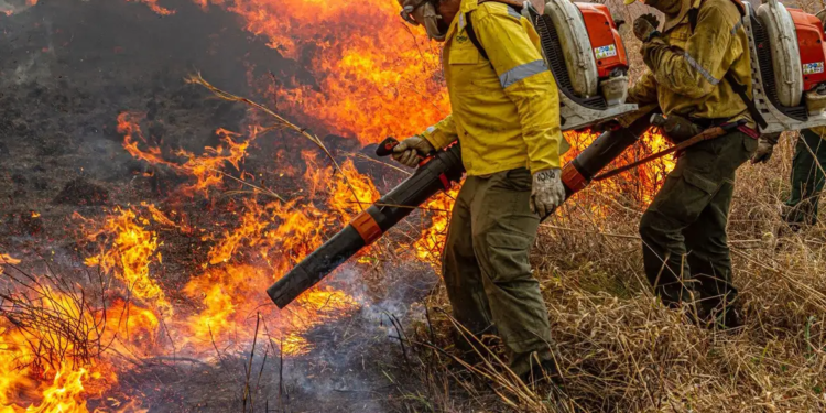 Pré-COP: Brasil propõe resposta global a incêndios florestais