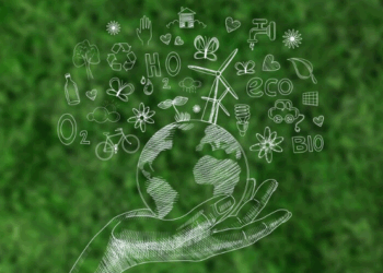 Artigo – COP 30 em perspectiva: agendas climática e ambiental no centro do debate – por Vinícius Laender e Cecília Viveiros